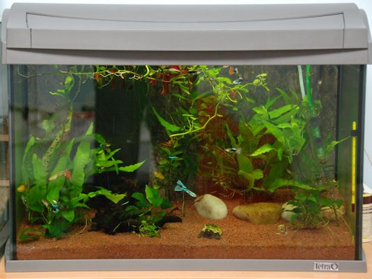 Aquarium 60 Liter